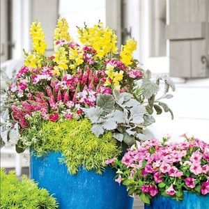 Meet your Posher, Hanis